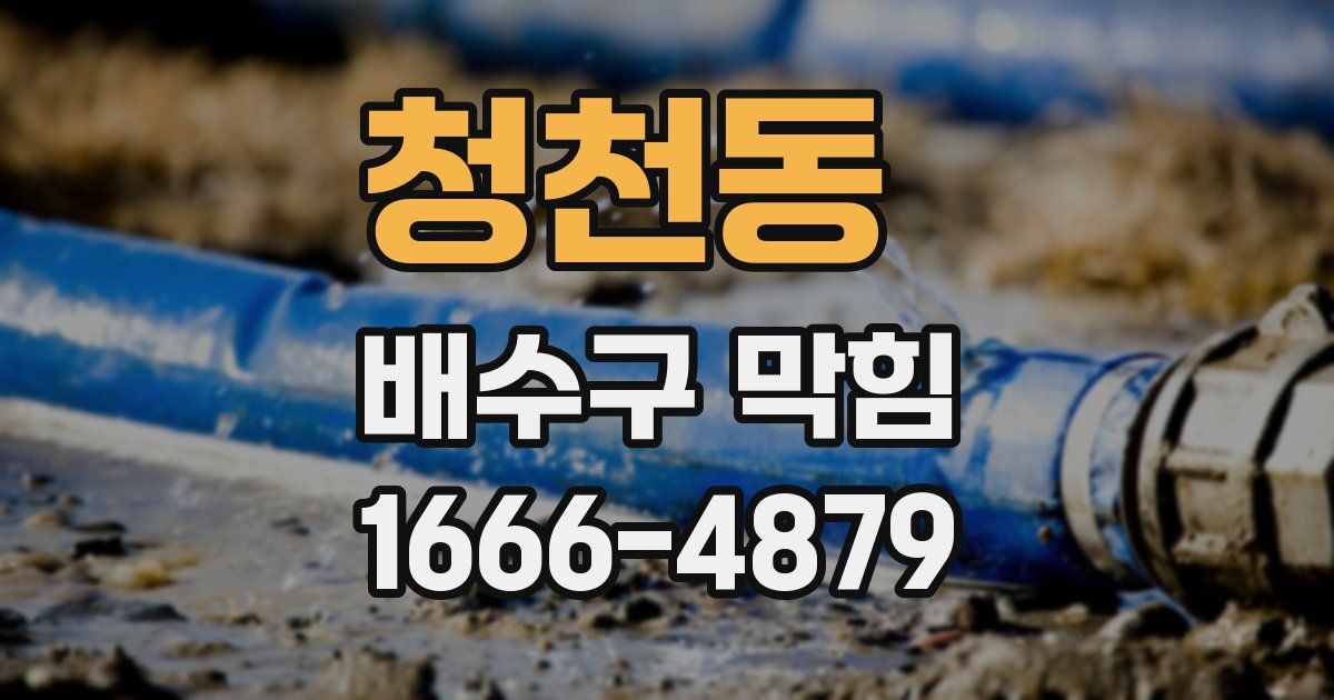 청천동 배수구 막힘