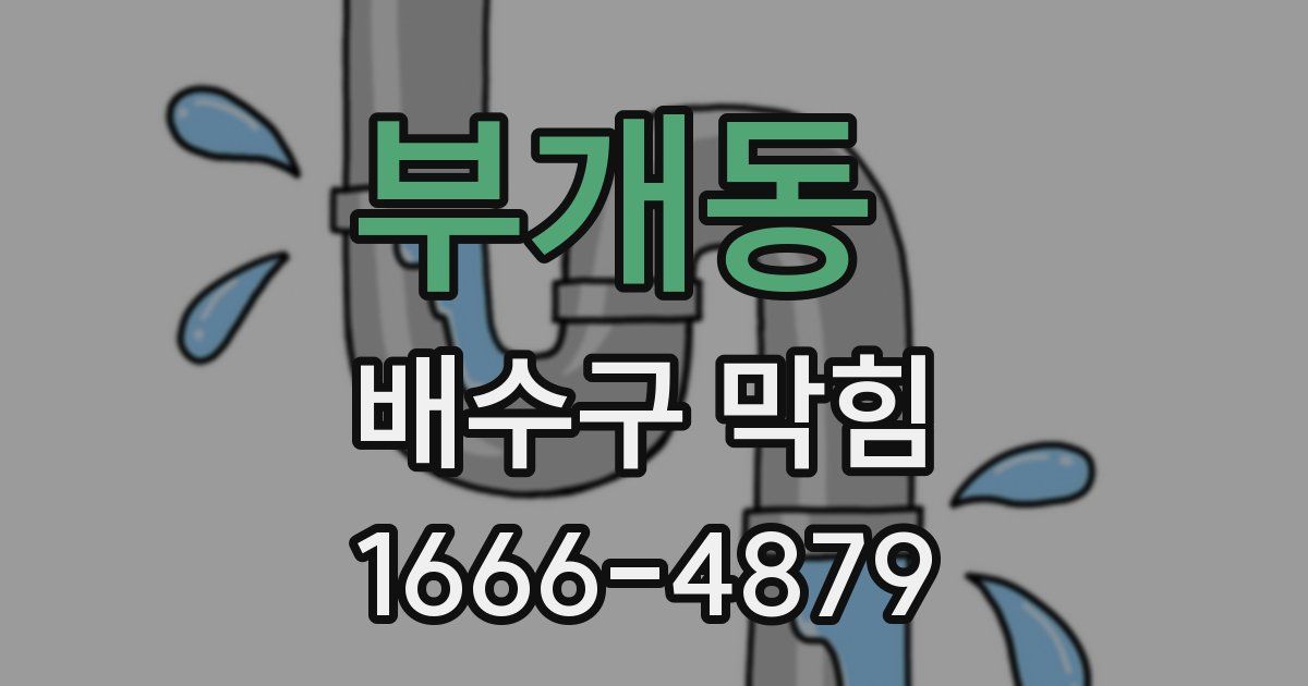 부개동 배수구 막힘