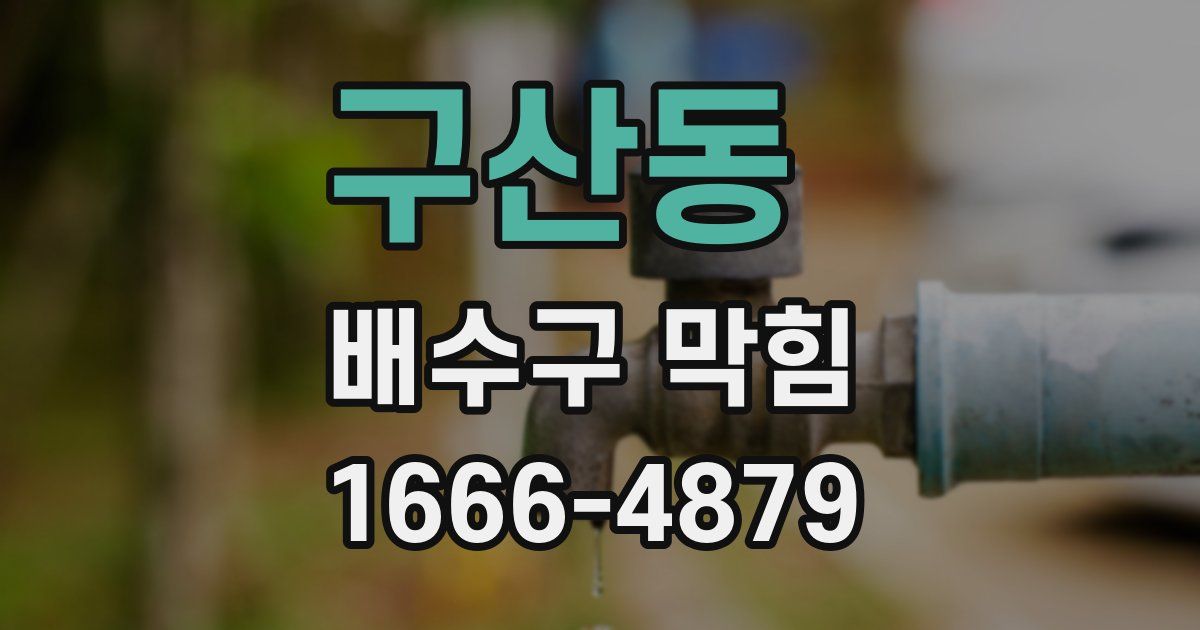 구산동 배수구 막힘