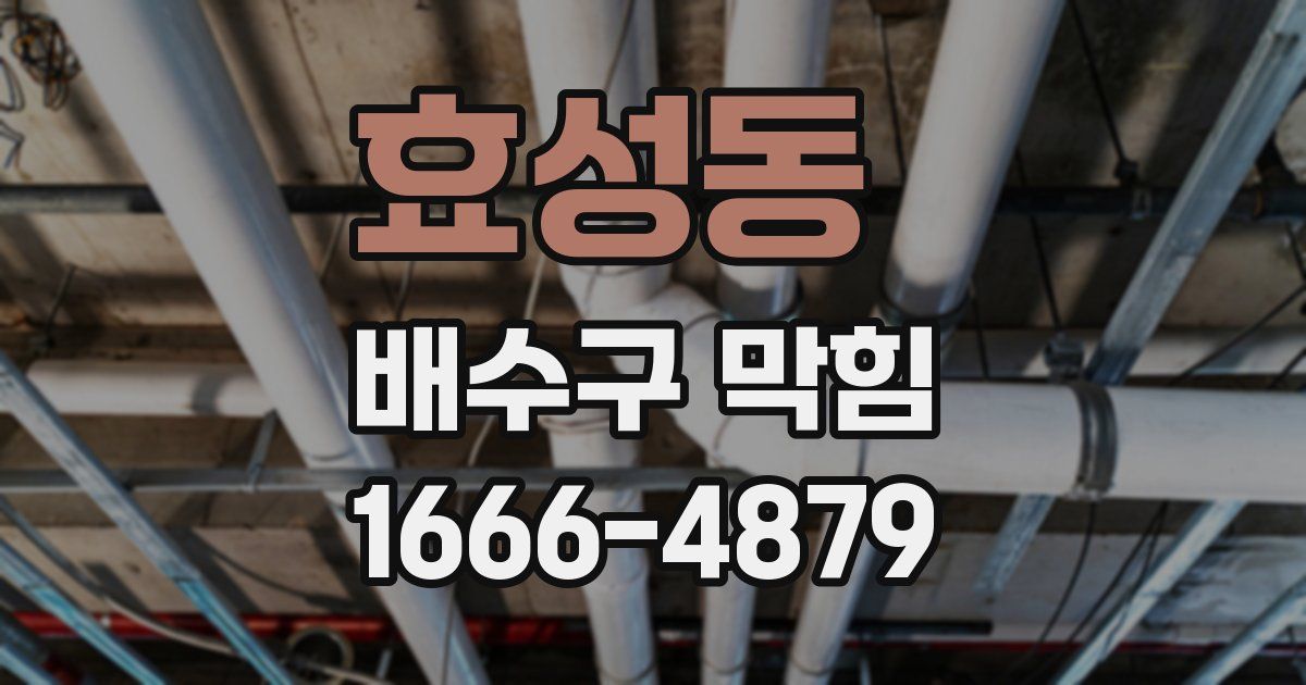 효성동 배수구 막힘