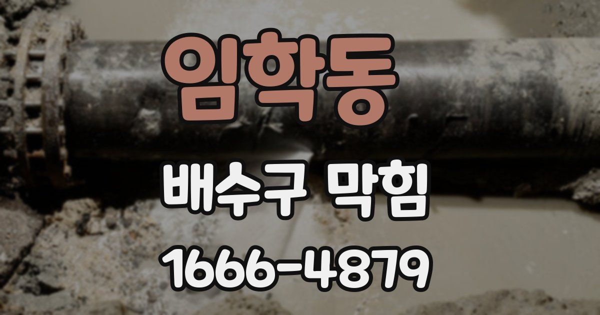 임학동 배수구 막힘