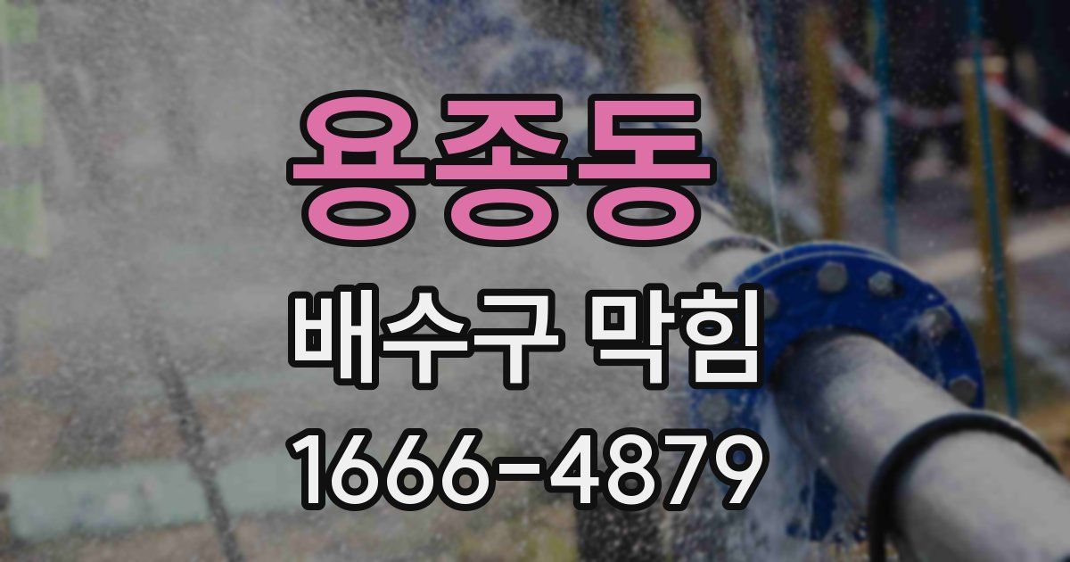 용종동 배수구 막힘