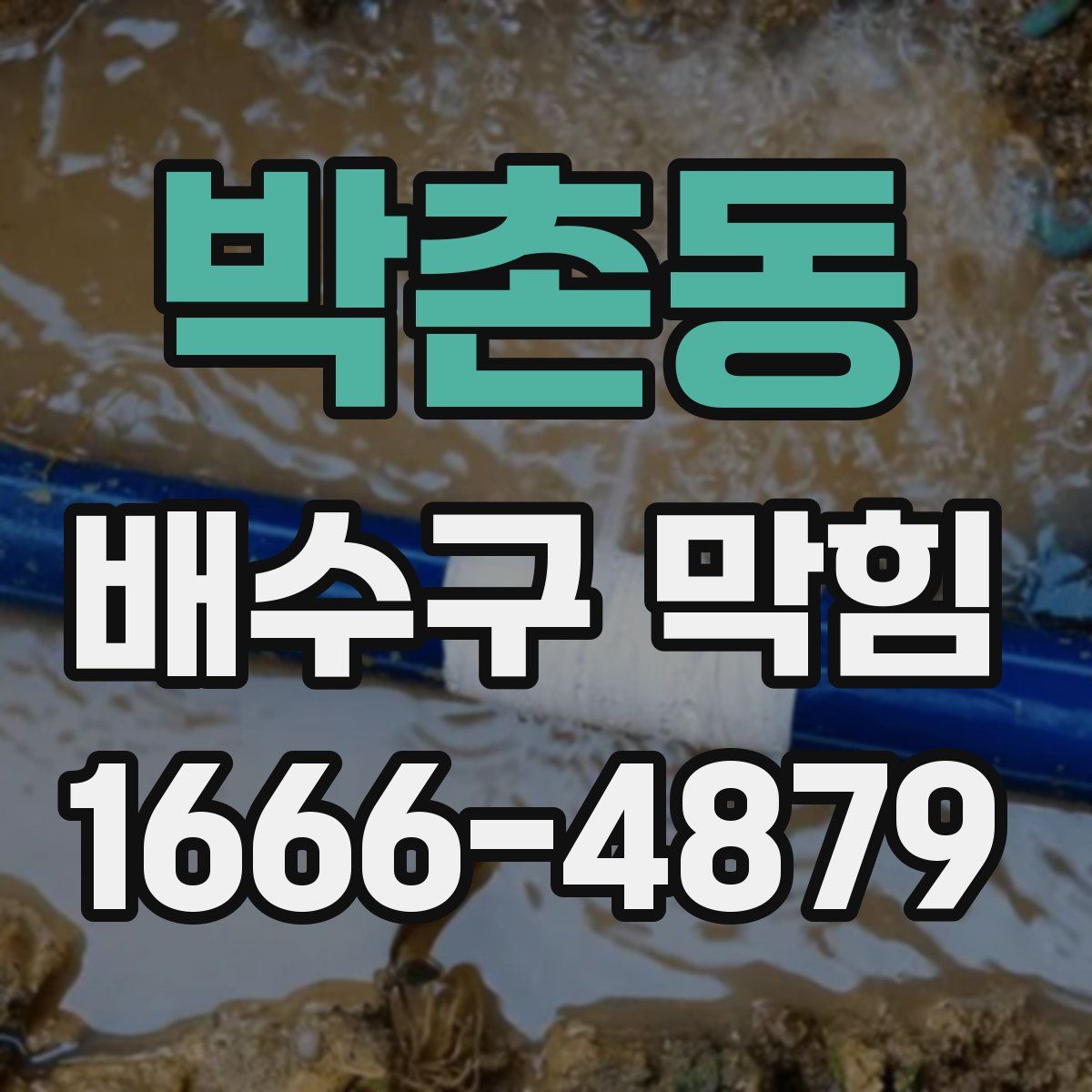 박촌동 배수구 막힘