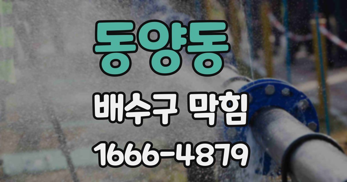 동양동 배수구 막힘