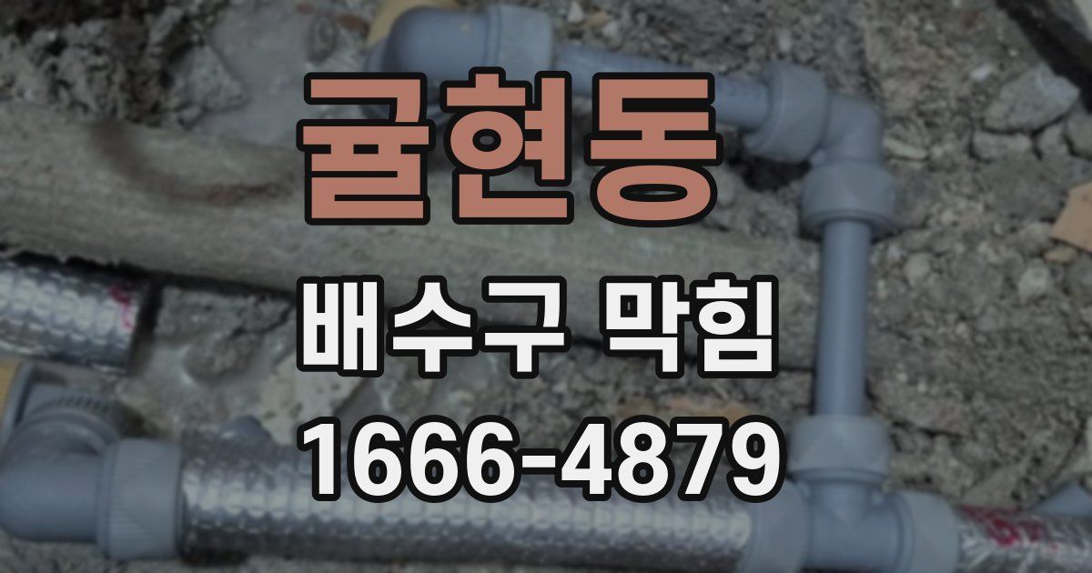 귤현동 배수구 막힘
