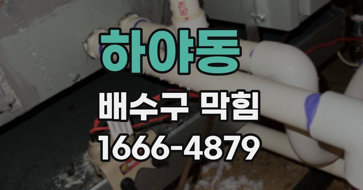 하야동 배수구 막힘