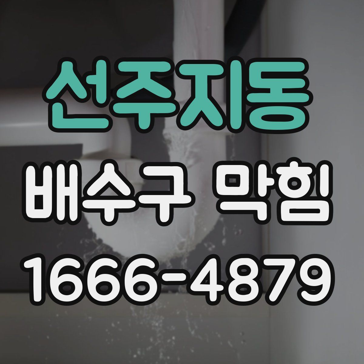 선주지동 배수구 막힘