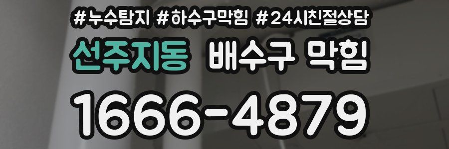선주지동 배수구 막힘