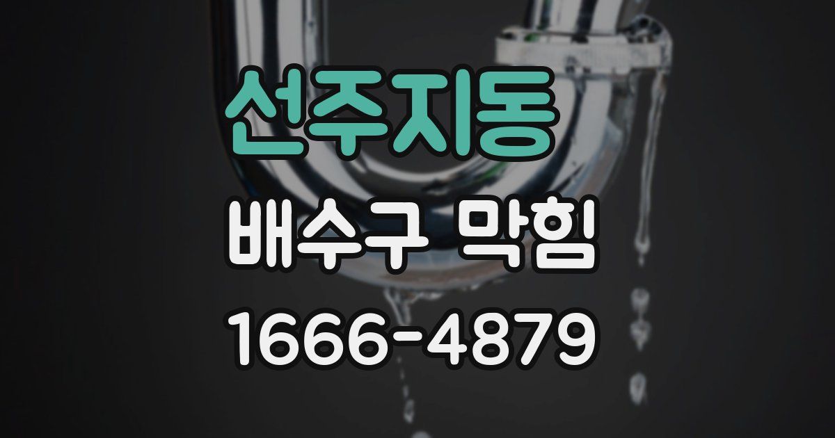 선주지동 배수구 막힘