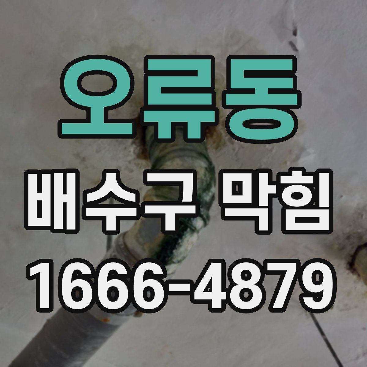 오류동 배수구 막힘