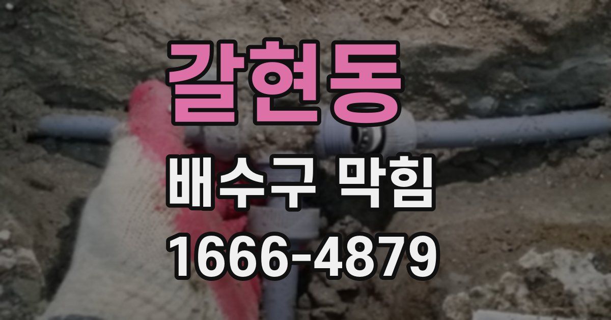갈현동 배수구 막힘