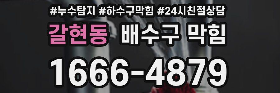 갈현동 배수구 막힘
