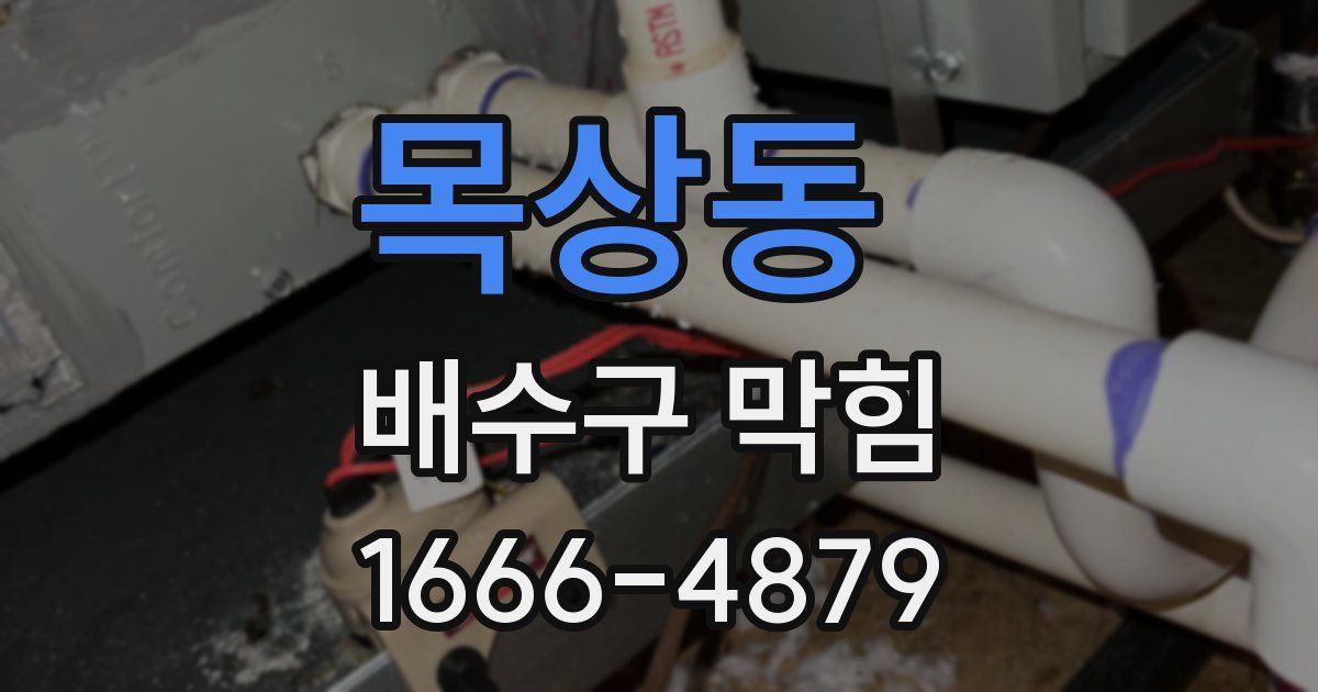 목상동 배수구 막힘