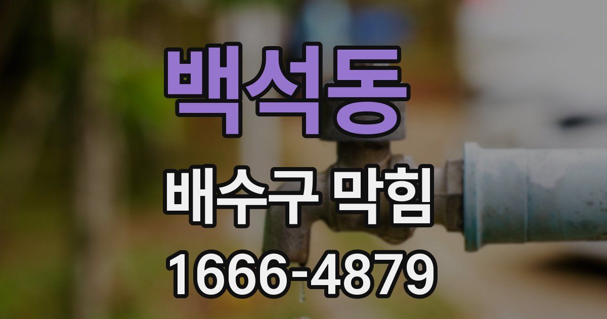 백석동 배수구 막힘