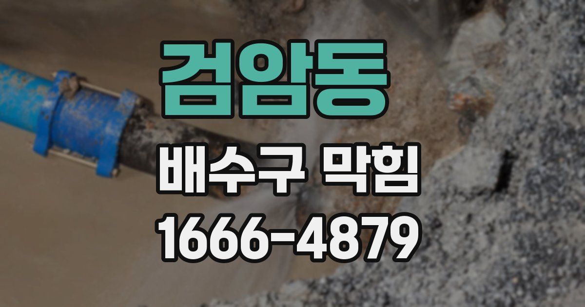 검암동 배수구 막힘