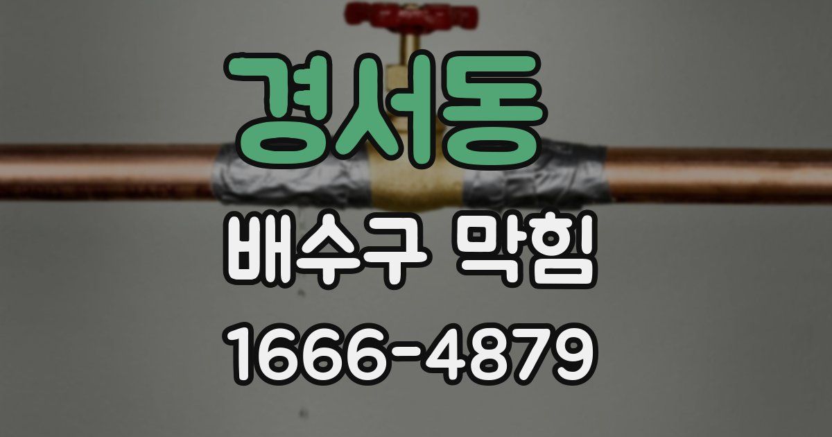 경서동 배수구 막힘