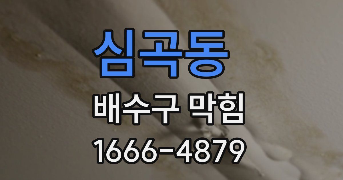심곡동 배수구 막힘