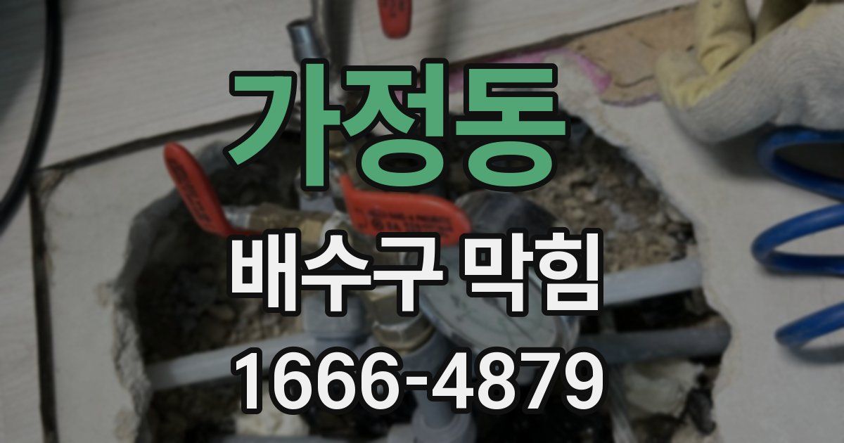가정동 배수구 막힘