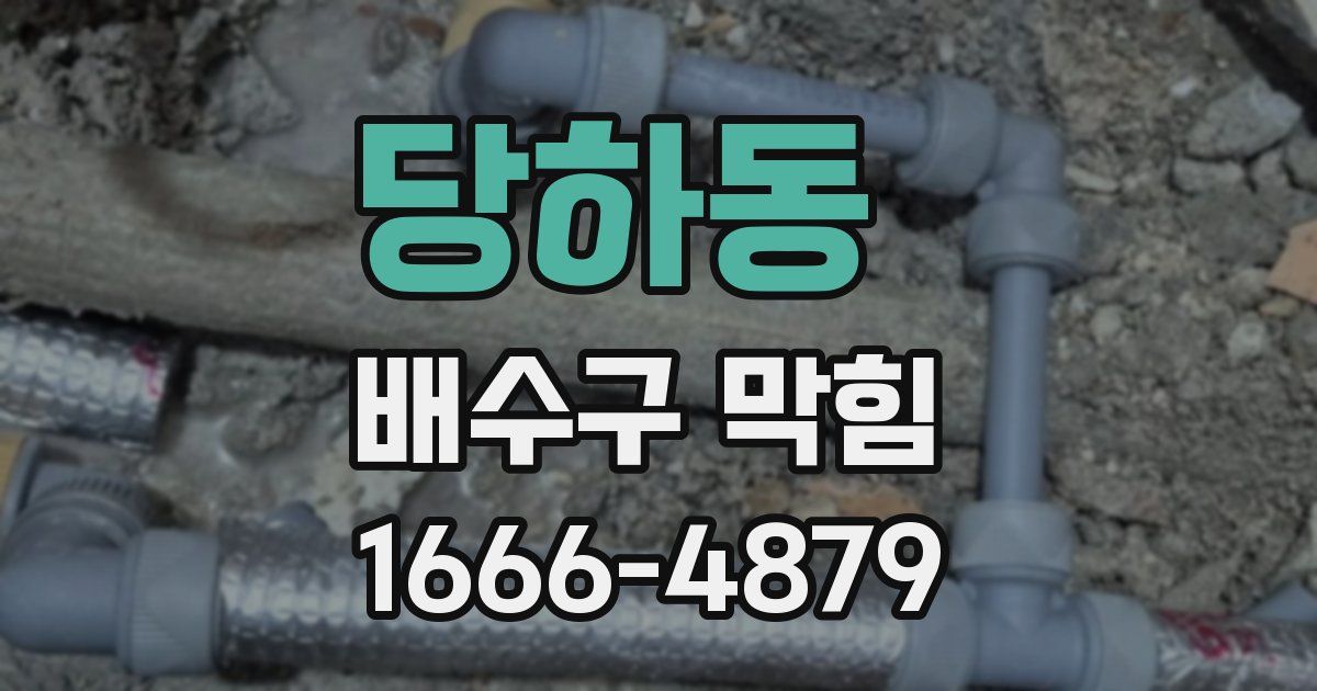 당하동 배수구 막힘