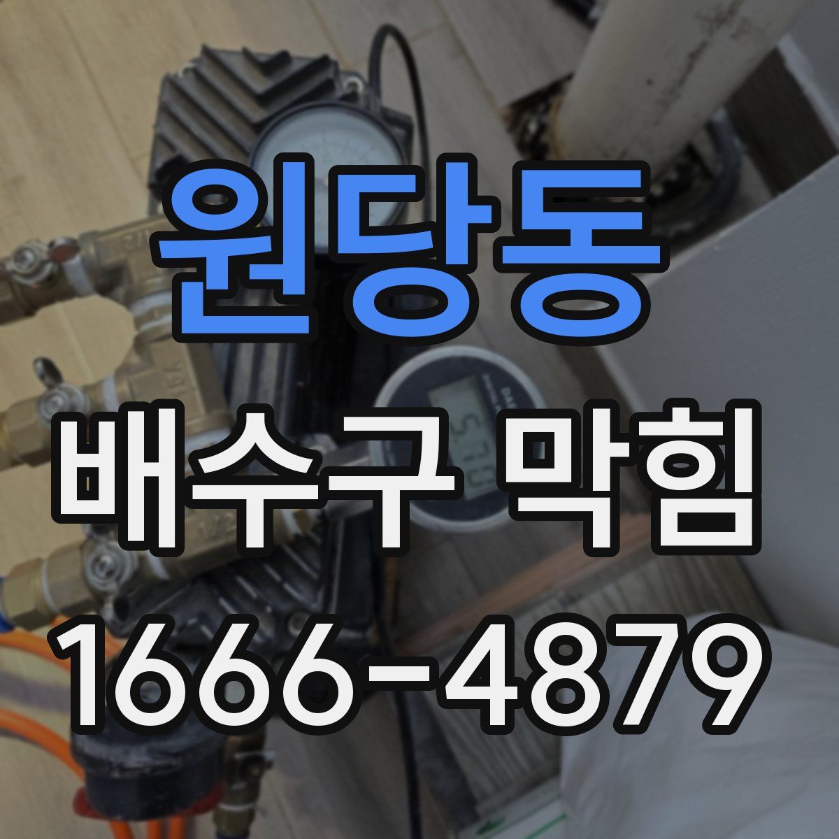 원당동 배수구 막힘