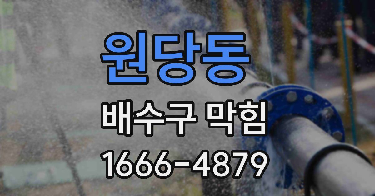 원당동 배수구 막힘