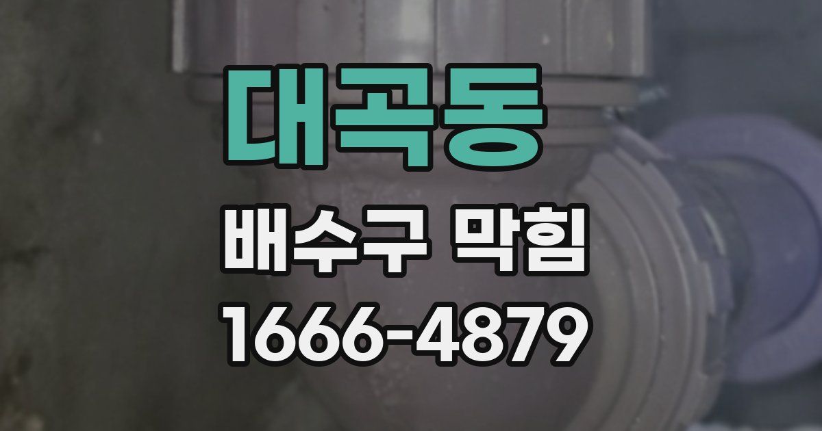 대곡동 배수구 막힘