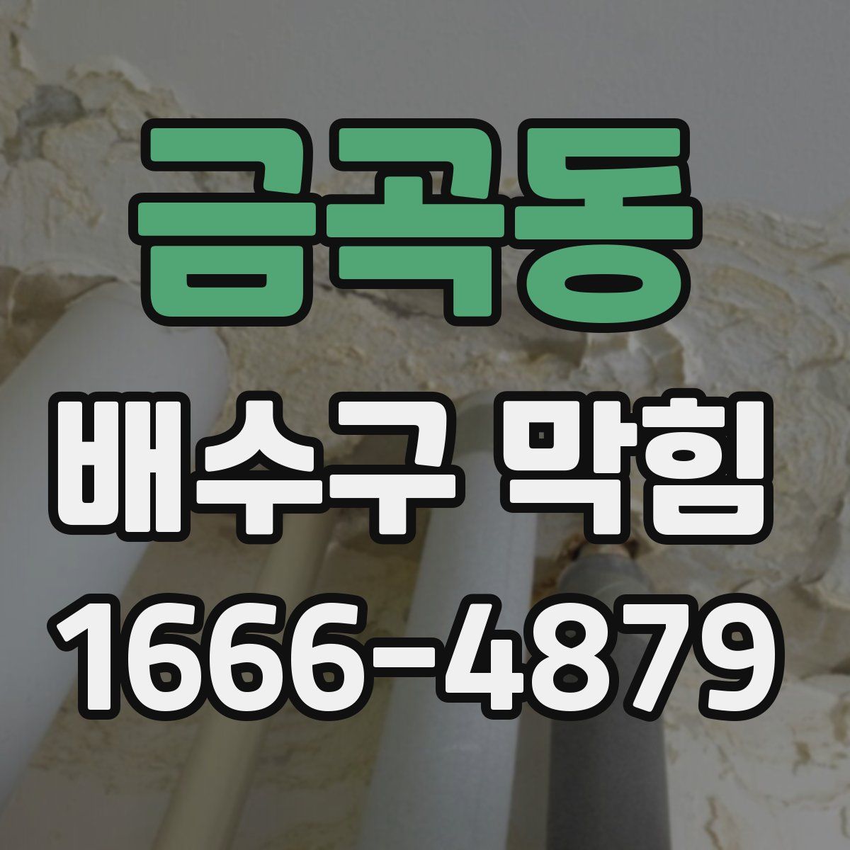 금곡동 배수구 막힘