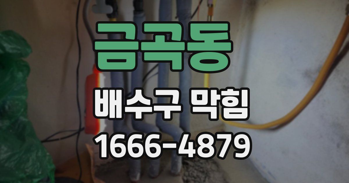 금곡동 배수구 막힘