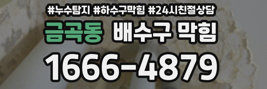 금곡동 배수구 막힘