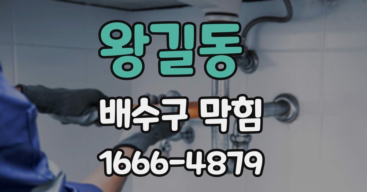 왕길동 배수구 막힘