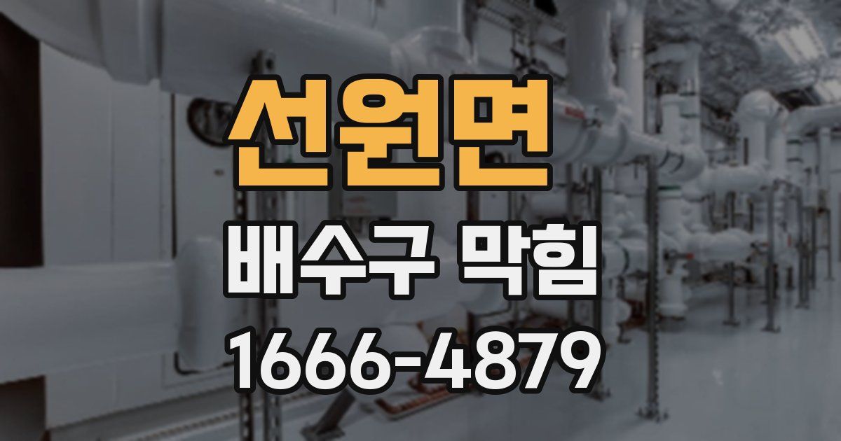 선원면 배수구 막힘