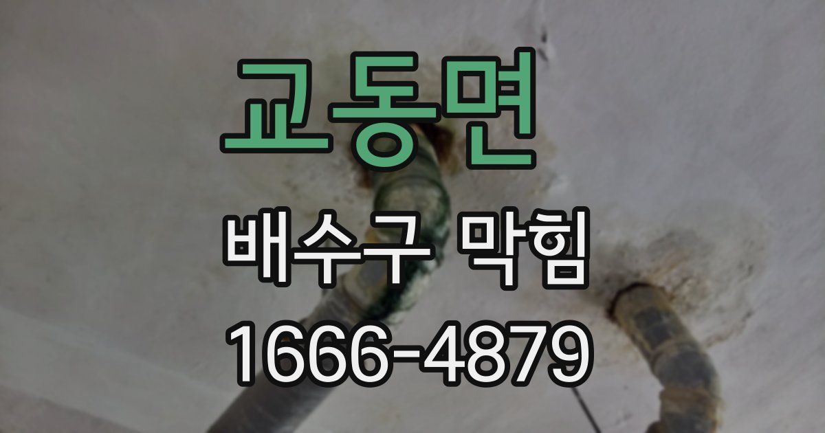 교동면 배수구 막힘