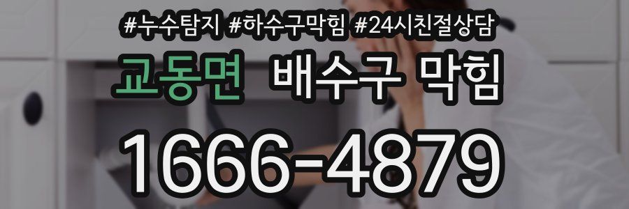 교동면 배수구 막힘