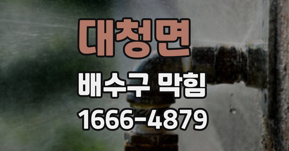 대청면 배수구 막힘