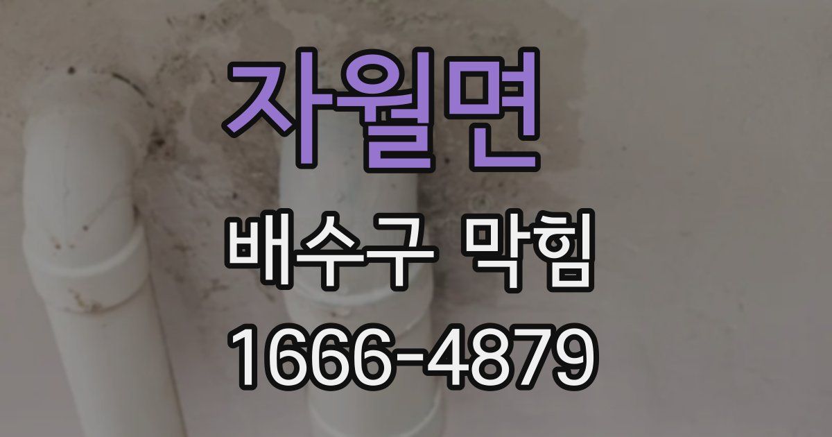 자월면 배수구 막힘