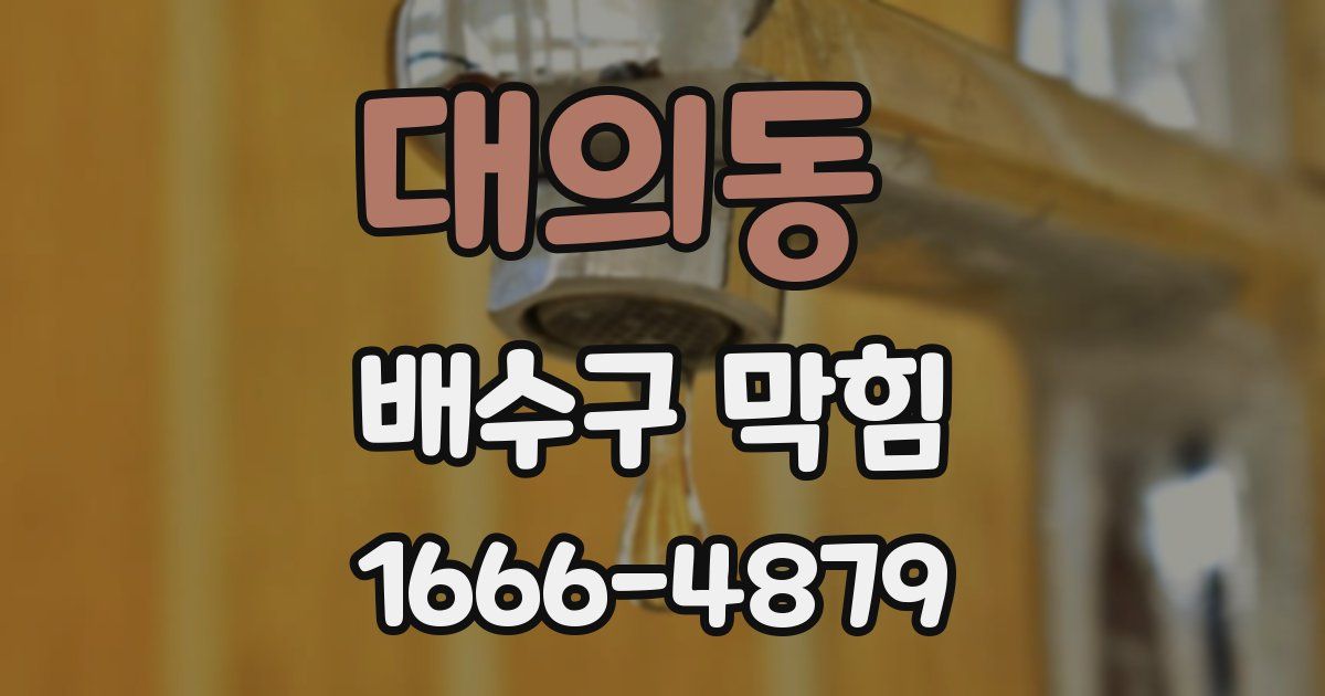 대의동 배수구 막힘
