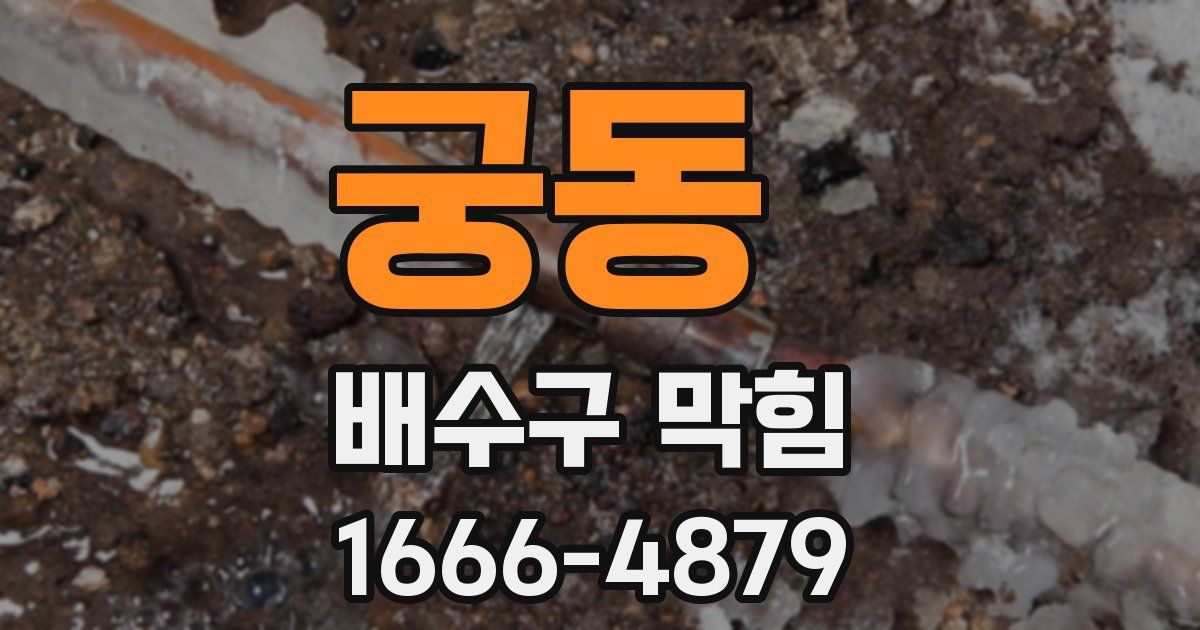 궁동 배수구 막힘