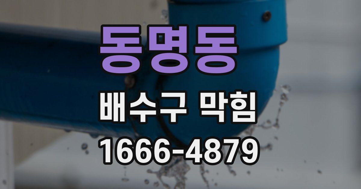 동명동 배수구 막힘