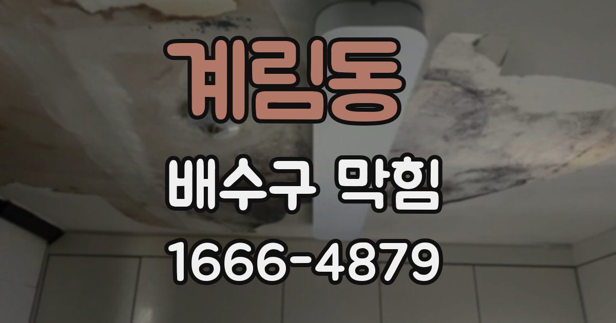 계림동 배수구 막힘