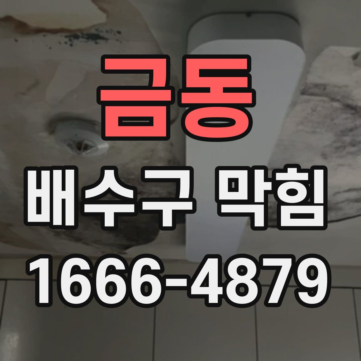 금동 배수구 막힘