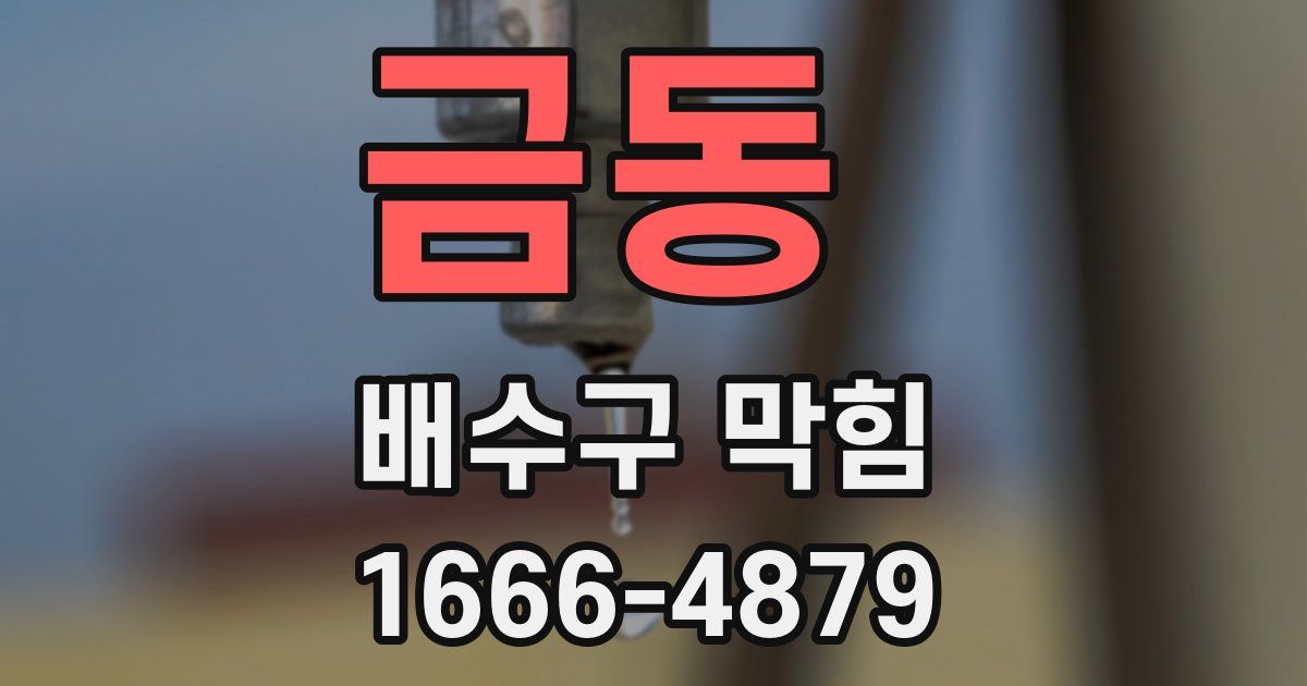 금동 배수구 막힘