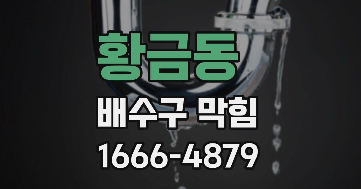 황금동 배수구 막힘