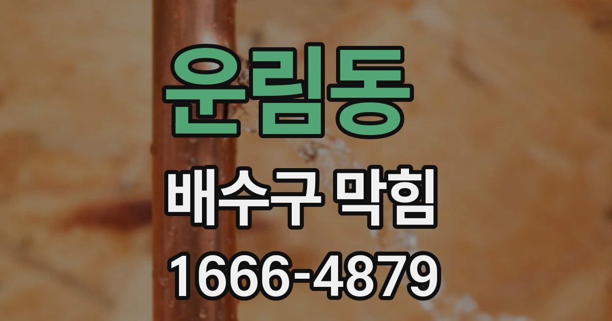 운림동 배수구 막힘