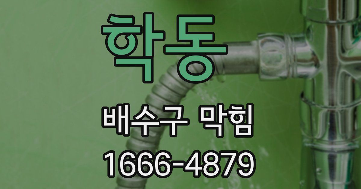 학동 배수구 막힘