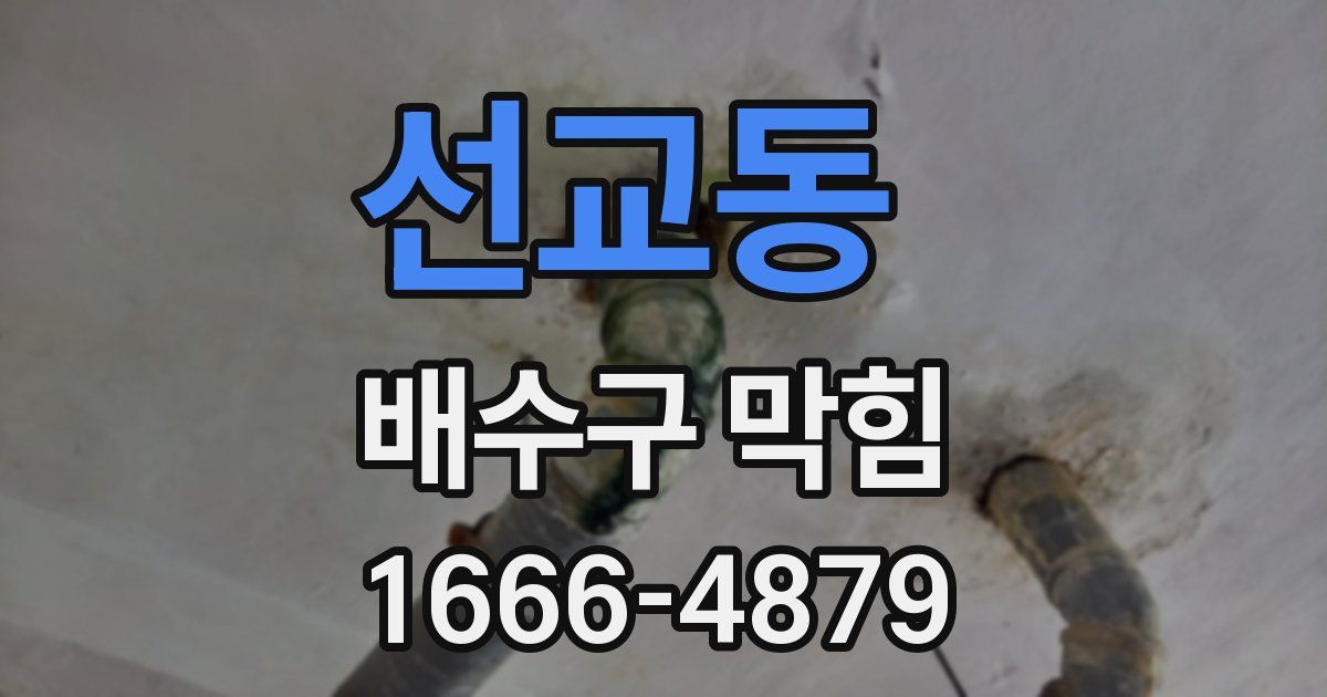선교동 배수구 막힘