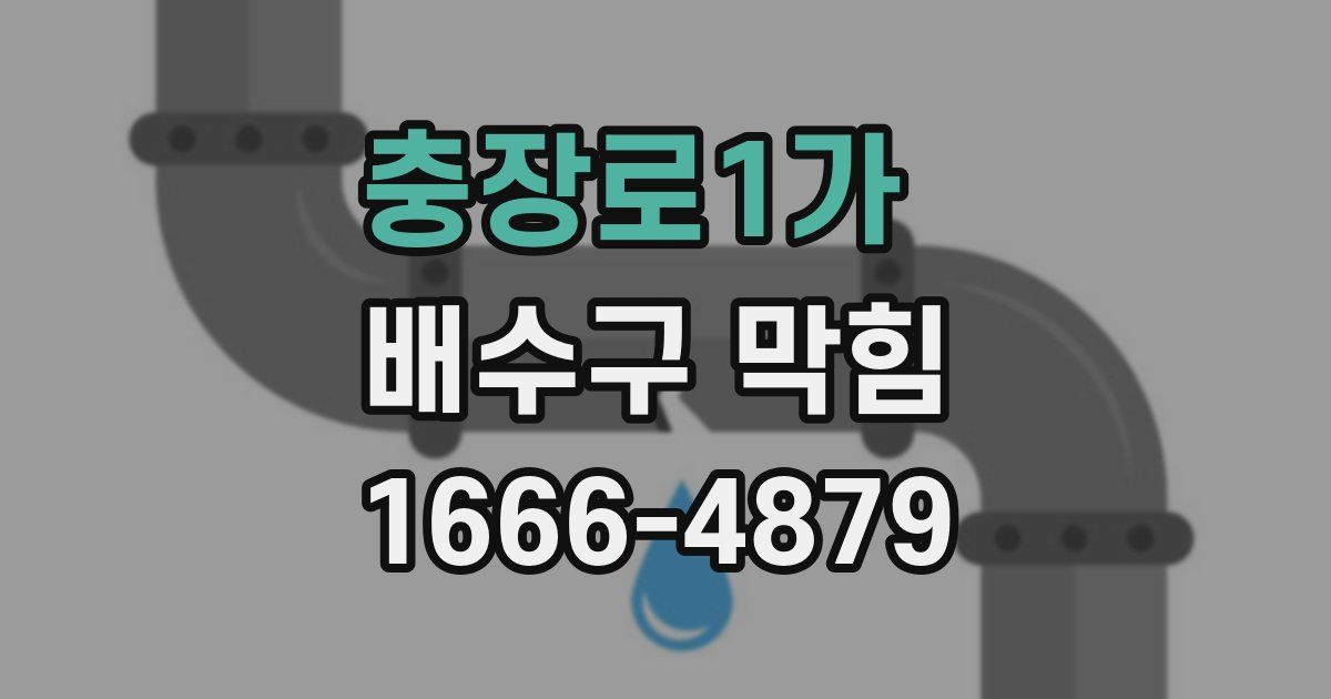 충장로1가 배수구 막힘