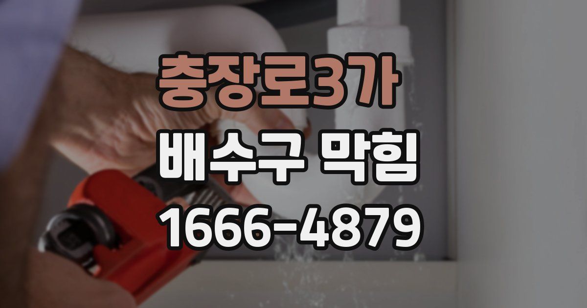 충장로3가 배수구 막힘