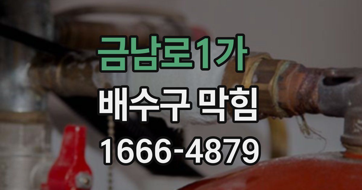 금남로1가 배수구 막힘