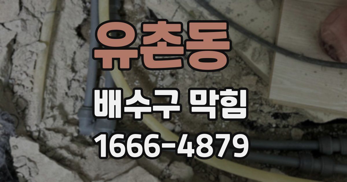유촌동 배수구 막힘