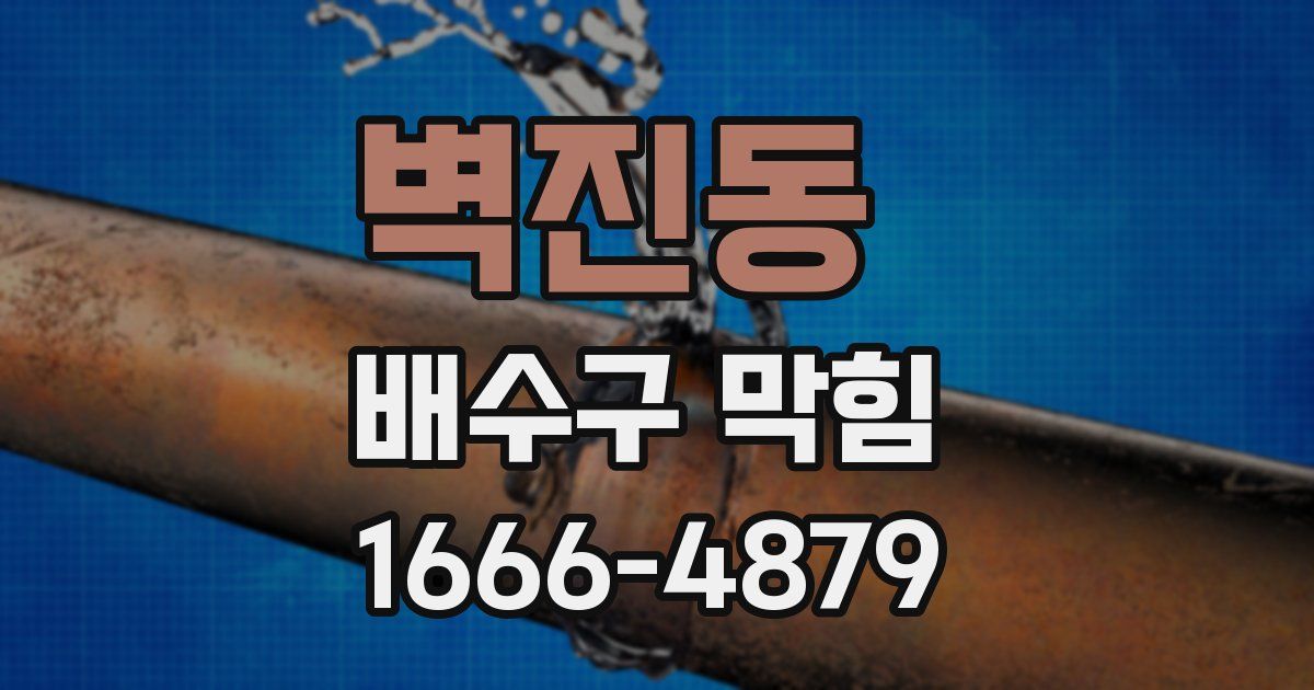 벽진동 배수구 막힘